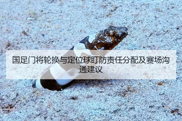国足门将轮换与定位球盯防责任分配及赛场沟通建议