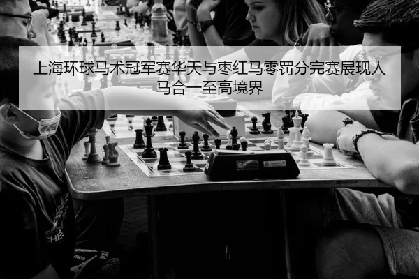 上海环球马术冠军赛华天与枣红马零罚分完赛展现人马合一至高境界